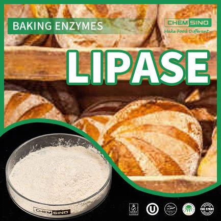 Ruoansulatuksen harmonia saavutettu: Lipaasientsyymin Magic Touch CAS NRO:9001-62-1