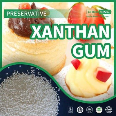 Hallitse johdonmukaisuuden taito Xanthan Gum Expertisen avulla.CAS-NRO:11138-66-2